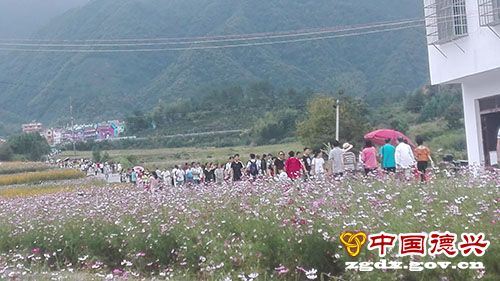 ����ӭ���ο͸߷���